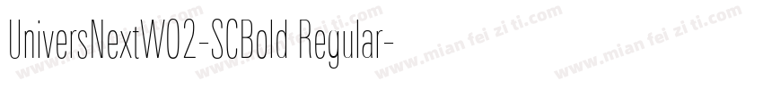 UniversNextW02-SCBold Regular字体转换